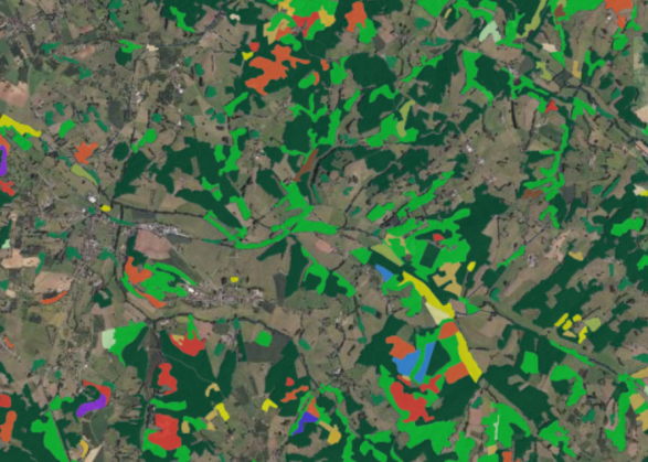 Cartographie peuplements et stades forestiers